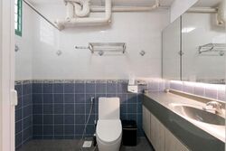 Blk 484 Segar Gardens (Bukit Panjang), HDB Executive #546537581